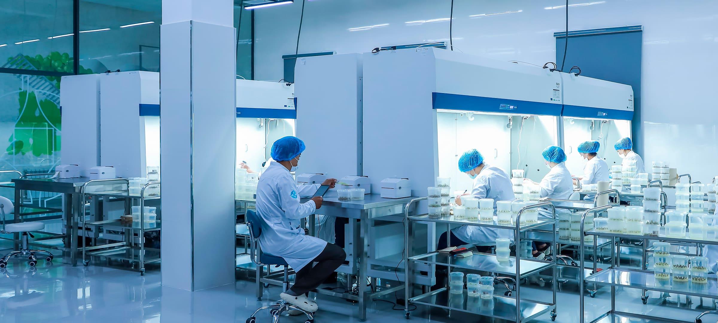 Agro In Vitro